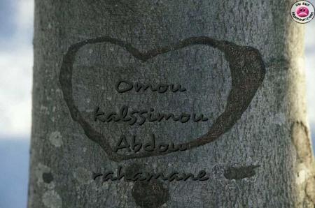 c moi abdou